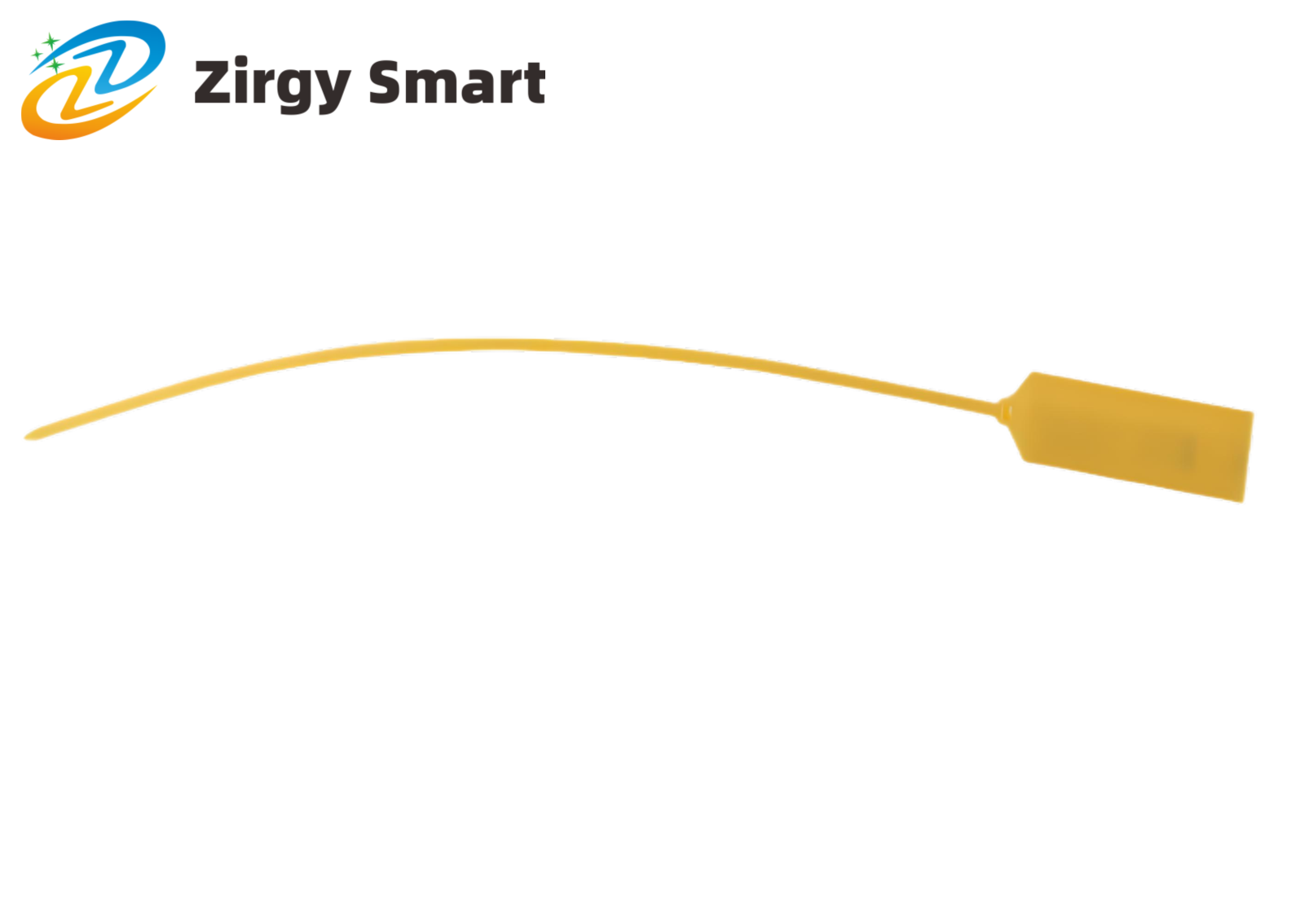 Cable tie Electronic Label ZJ-DZ006-Shanghai Zirgy Intelligent Technology Co., Ltd.
