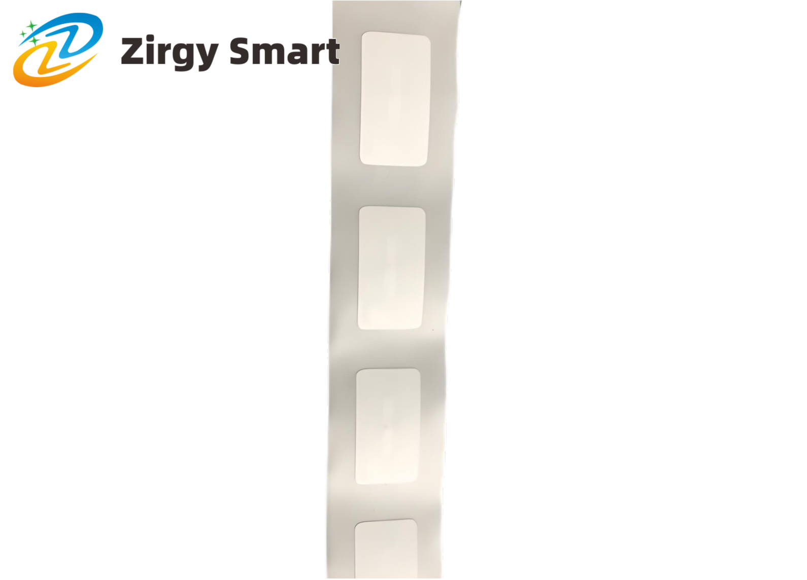 NFC tag Ntag 213 30*15mm live display one