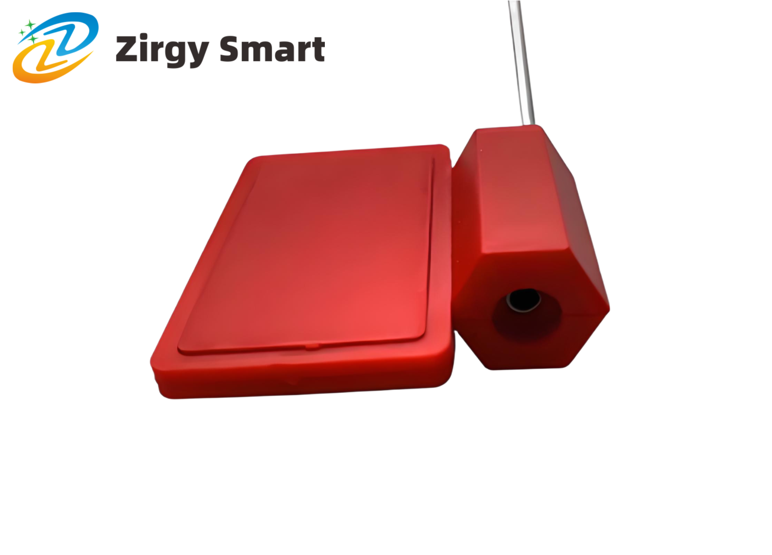 Lead-seal zip tie tag ZJ4037—Shanghai Zirgy Intelligent Technology Co., Ltd.