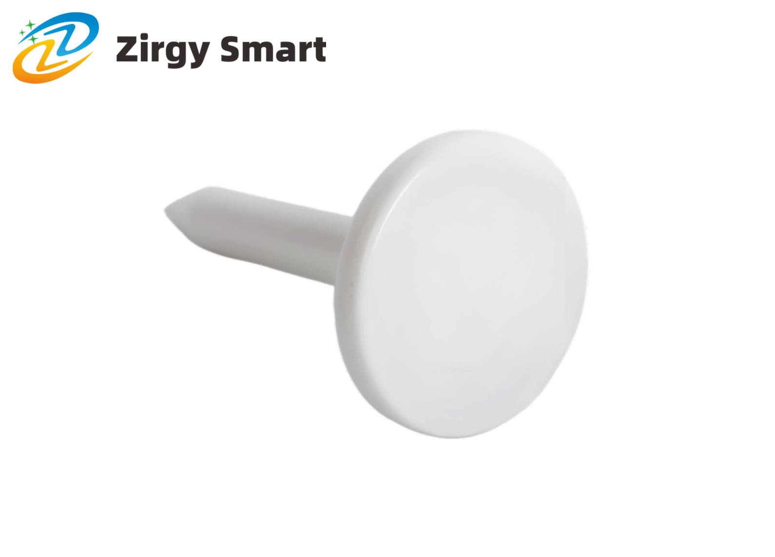 Nail electronic RFID anti-counterfeiting label ZJ-DZ013 real shot display figure 2