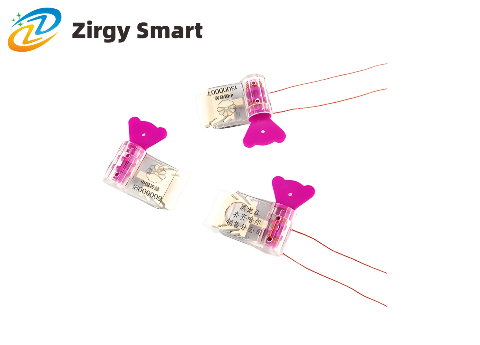 Electronic lead seal label ZJ-19E real shot display Figure 4